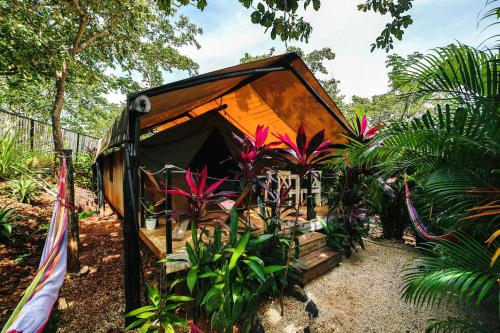 una piccola casa in mezzo a qualche pianta di Glamping Hotel Flor y Bambu a Playa Grande