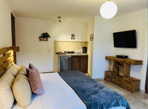 Santuario 71 Lofts and apartments في غواناخواتو: غرفة نوم مع سرير كبير ومطبخ