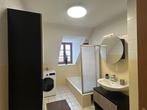 un bagno con lavandino, WC e specchio di Faraway Homes Studios Bad Leonfelden a Haid