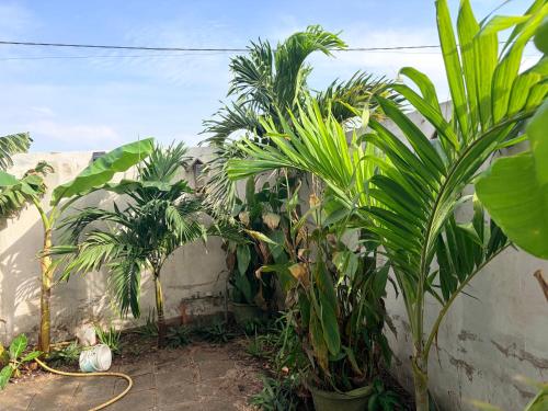 En have udenfor Villa BHT Lac Rose