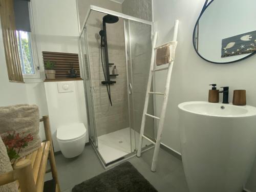 a bathroom with a shower and a toilet and a sink at L'Isménia, L'écrin Zen in Le Gosier