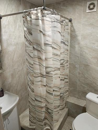 1 комнатные апартаменты في Pavlohrad: حمام مع ستارة دش ومرحاض