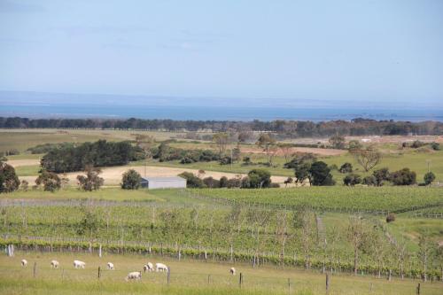 Природа в окрестностях виллы