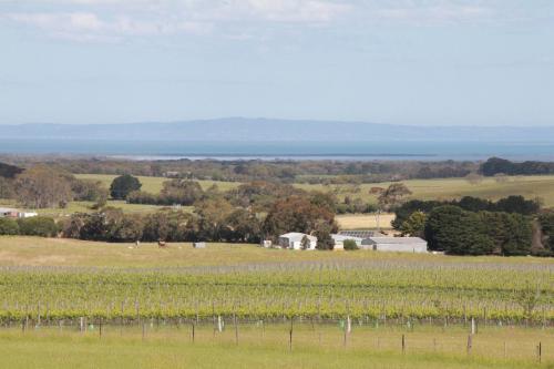 Природа в окрестностях виллы