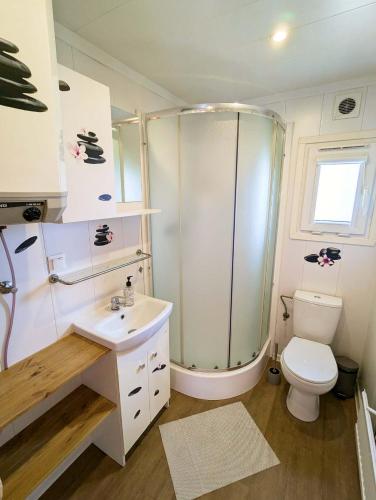 a bathroom with a shower and a toilet and a sink at Sedmikvítek in Smržovka