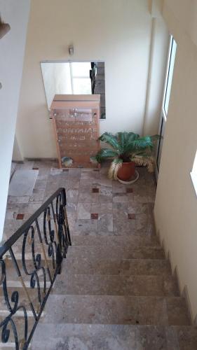 a staircase with a plant in a room with a mirror at La Fontaine Apartments in Kandia