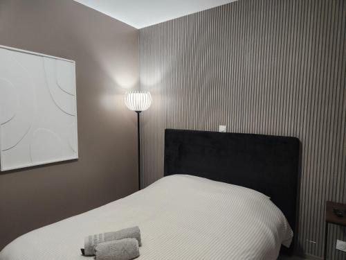 Bel Appartement Centre-Ville