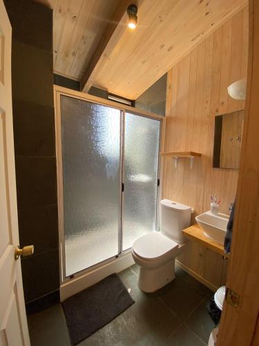 a bathroom with a shower and a toilet and a sink at Cabañas Polikén in Vichuquén Lake