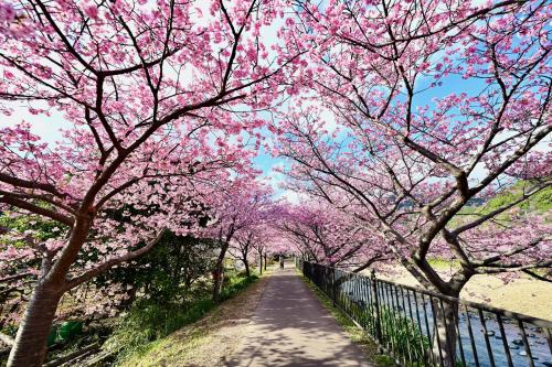 Φυσικό τοπίο κοντά σε αυτή η βίλα