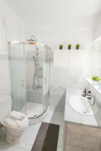 a bathroom with a shower and a toilet and a sink at Tzelak Village House in Palaiomonástiron