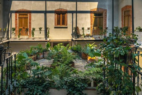 a bunch of plants in pots in front of a building at Downtown Heritage Retreat CDMX in Mexico City