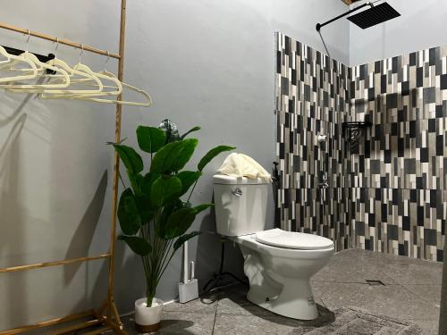 a bathroom with a toilet and a plant in it at The Bangka Beach Guesthouse in Siquijor