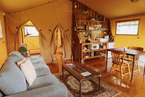 sala de estar con sofá y tienda de campaña en Raglan Rural Retreats - Rimu Tent, en Raglan