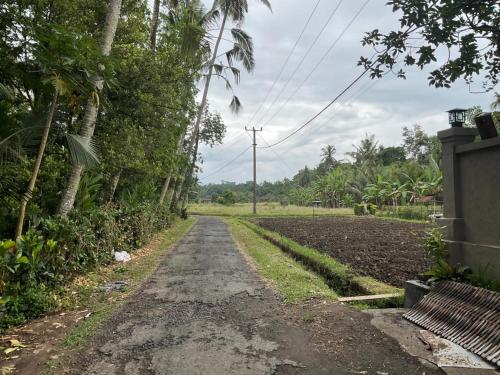 PenebelEdwin's Stay的相册照片