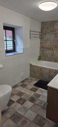 a bathroom with a toilet and a bath tub at Riederhof in Flintsbach am Inn