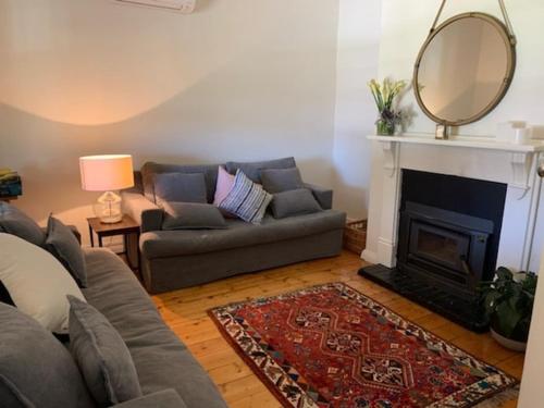 MintaroTickles Cottage in a beautiful Rural Setting的带沙发和壁炉的客厅