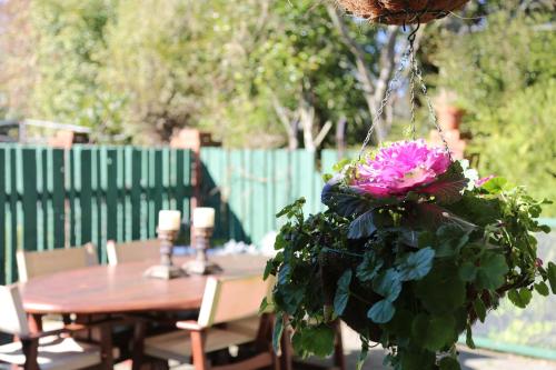 a hanging flower pot with a pink flower at Regan House in Stratford