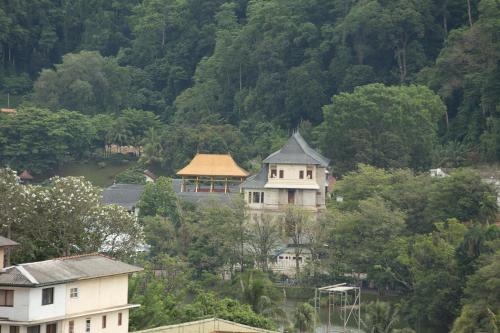 a large house in the middle of a forest at Amanda Hills in Kandy