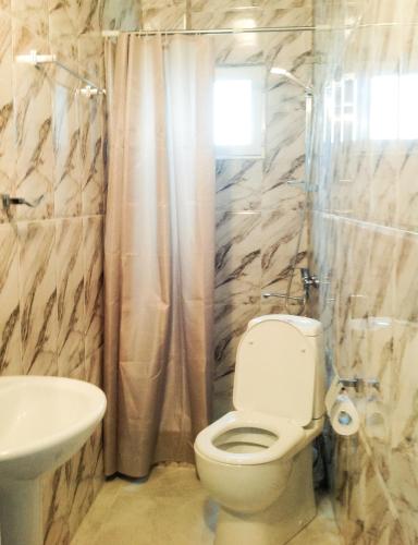 a bathroom with a toilet and a sink at Leli in Sighnaghi