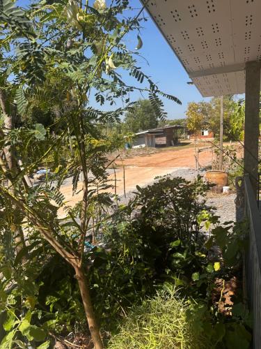 Κήπος έξω από το NADOHN-Homestay