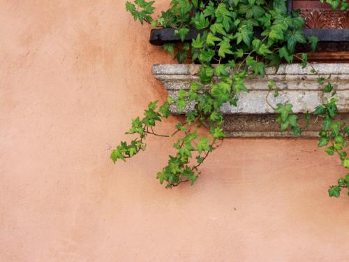 Casa Isolani Guest House Santo Stefano photo 44
