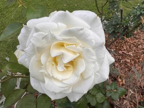 Giardino di Tambo Touchdown Suites