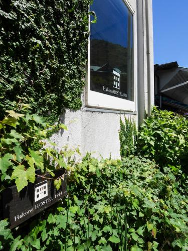 a window in a building with plants in front of it at HakoneHOSTEL1914 in Hakone