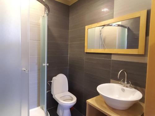 W łazience znajduje się toaleta, umywalka i lustro. w obiekcie La Villa Alexandre - PARTER we Władysławowie