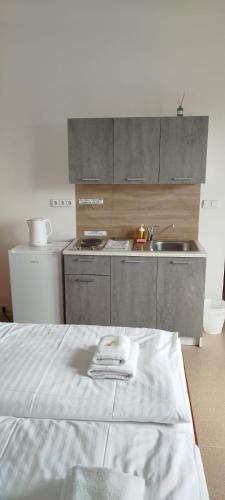 a kitchen with a sink and a bed in a room at SPORT HOTEL České Budějovice in České Budějovice