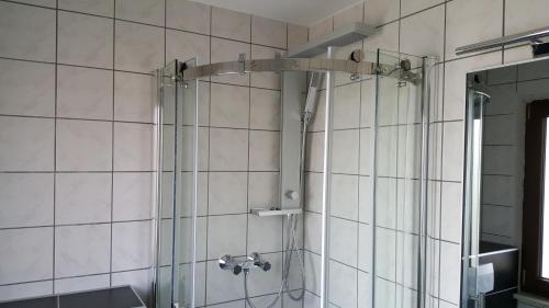 a bathroom with a shower with a glass door at Hotel Exquisite in Bobenheim am Berg