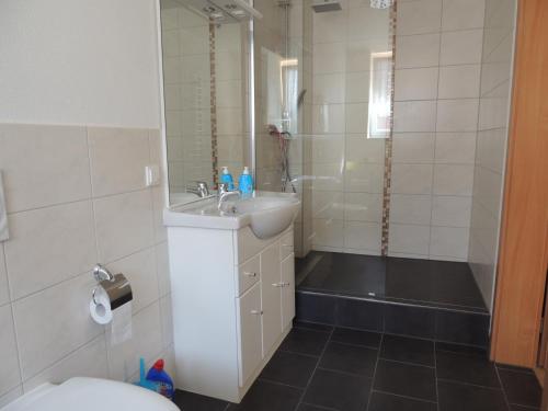 a bathroom with a sink and a shower and a toilet at Ferienwohnungen am Hauptplatz in Pirna