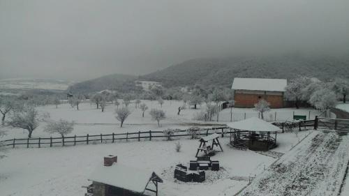 a snow covered field with a building and a barn at Pensiunea Printul Vlad in Sibiel