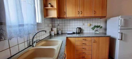 Kuchyň nebo kuchyňský kout v ubytování Arigos Apartments