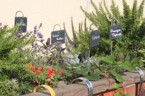 a garden with signs that say plants and flowers at Familienhotel Post in Millstatt