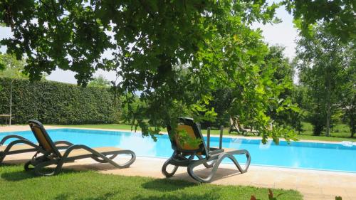 Bazén v ubytovaní Agriturismo L'Albara - Wines, Pool & SPA alebo v jeho blízkosti