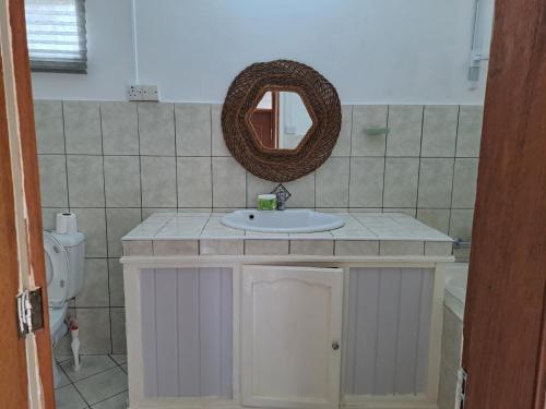 a bathroom with a sink and a mirror at Labour Villa in Mahébourg