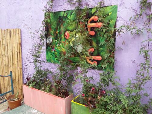 a wall with a bunch of plants and carrots at Hospedaje La Rana in Buenos Aires