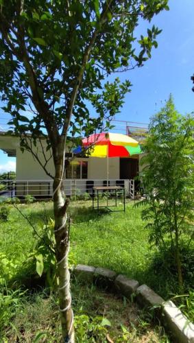 a tree with a colorful umbrella in a yard at Aman magic resort in Takdāh