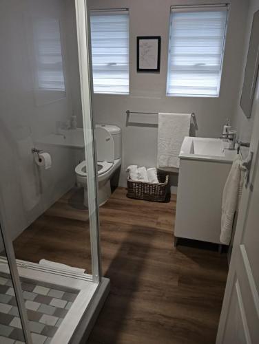 a bathroom with a toilet and a sink at Storms River Peak Accommodation in Stormsrivier