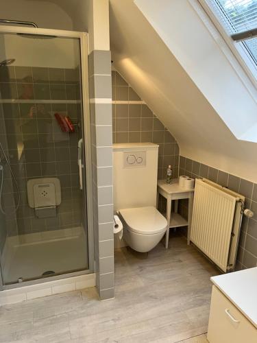 un baño con inodoro y ducha en Silk and Stone Manor, en Grez-Doiceau