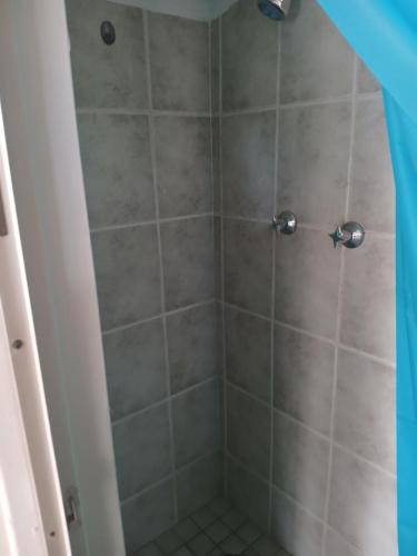 een badkamer met een douche met grijze tegels bij Braai and chill getaway in Goodwood