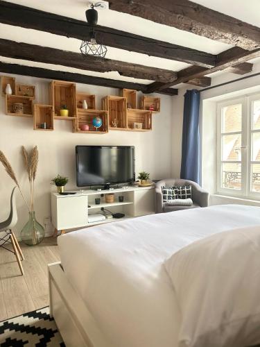 Central & Cosy Apartment Strasbourg City Center