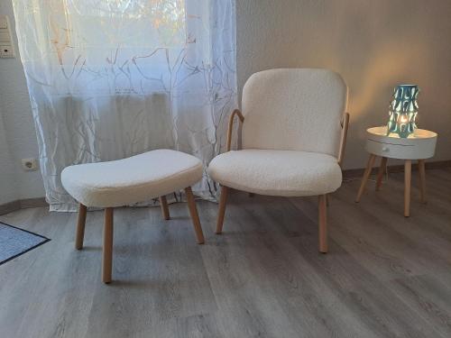 GaßFerienwohnung Kleine Auszeit im Hunsrück的房间里并排摆放的两把椅子