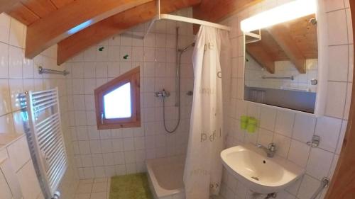 Un baño con lavabo, inodoro y ducha. en Doberts 6, un duplex au pied des montagnes!, en Zinal