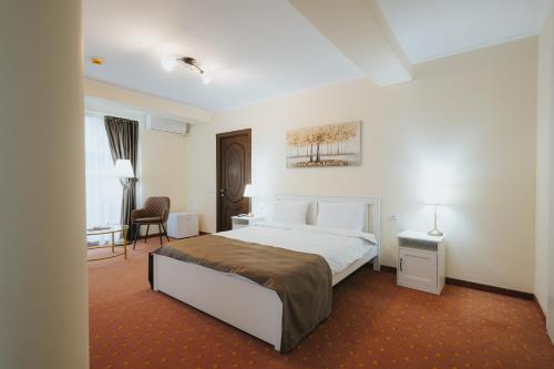a bedroom with a bed and a desk and a chair at Vila Turistică Fabian in Botoşani