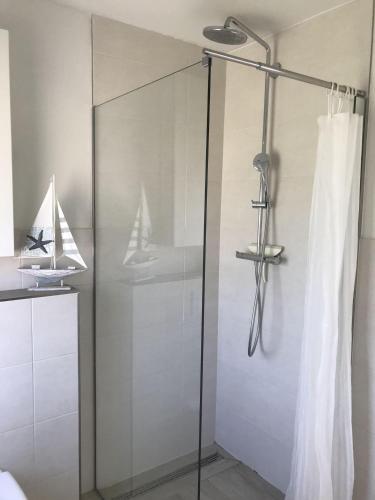 a shower with a glass door in a bathroom at Strandhaus-Appartment-Rauchschwalbe in Fehmarnsund