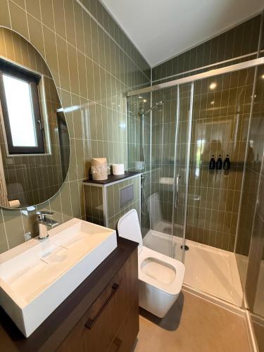 a bathroom with a toilet and a sink and a shower at Tiny forest house met vrij uitzicht in Putten