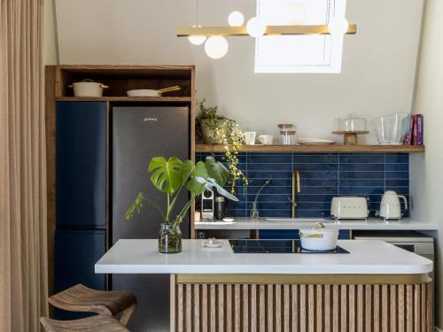 Η κουζίνα ή μικρή κουζίνα στο Villa and Studio Eiland