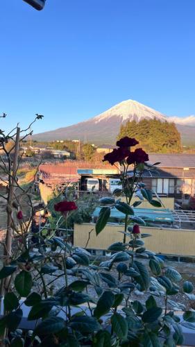 a plant with a mountain in the background at Kitayama Fuji View House in Fujinomiya
