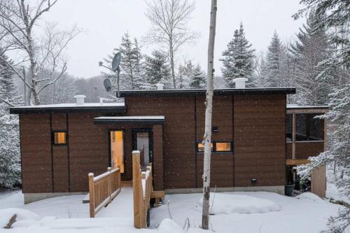 Sainte-Émélie-de-lʼÉnergieSpa & Lake Access - Cariboo的雪中的房子,有雪覆盖的院子